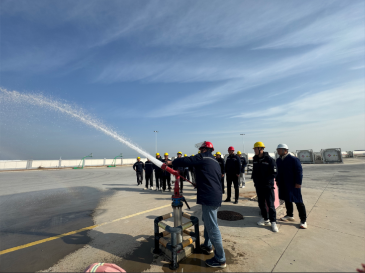 1765529797167141.png 1765529797167141.png